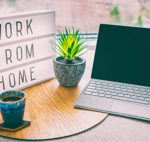 Skills and Systems for Remote Working