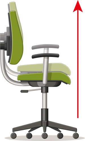 Chair Posture Set-Up - Microlink